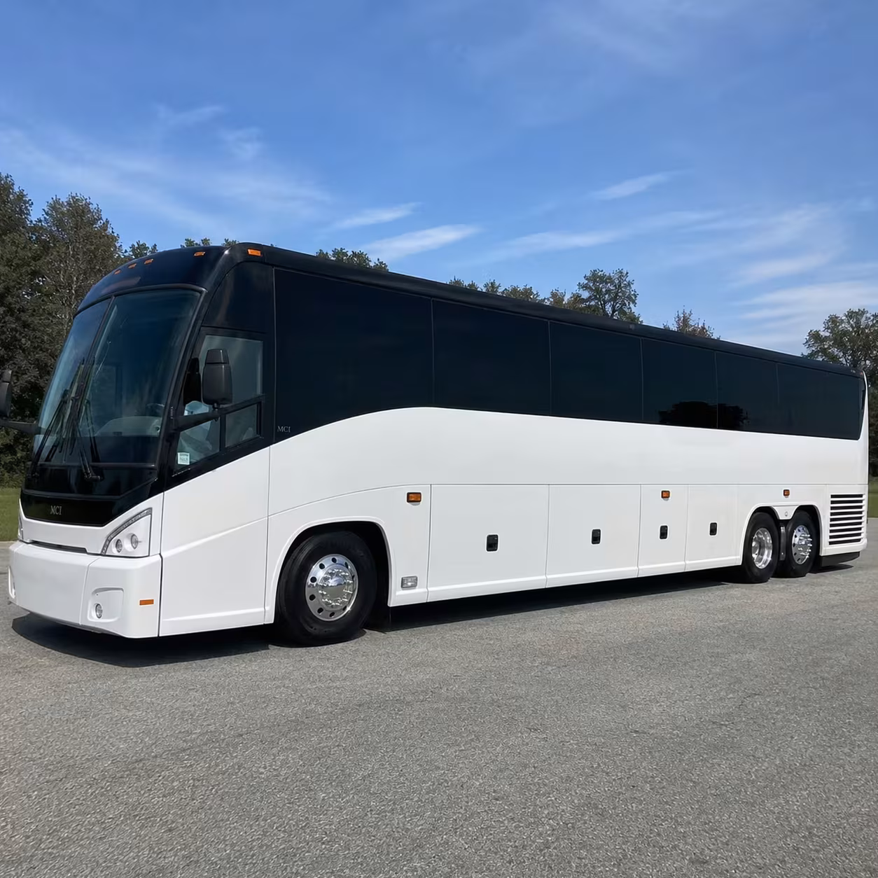 bellingham group transportation for flights out of bli