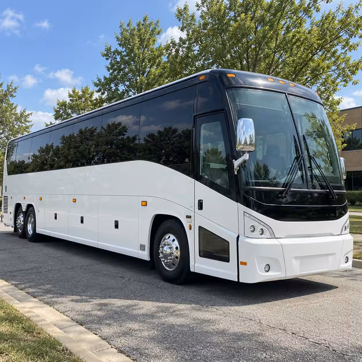 bellingham shuttle buses to western washington university