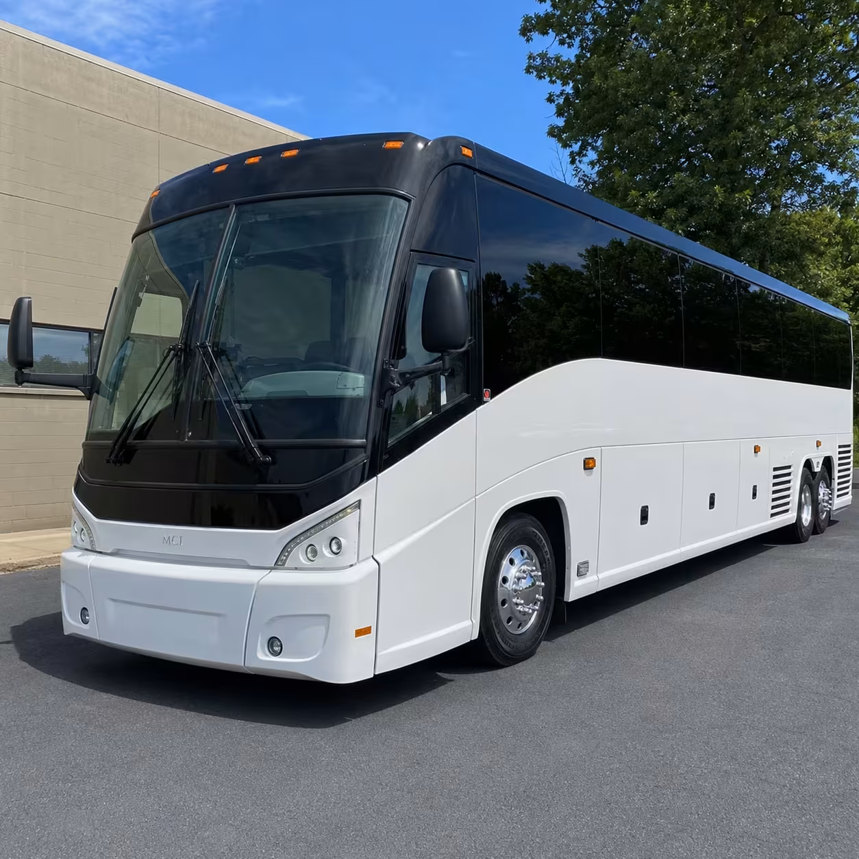 bellingham sports team transportation for away games and fan trips