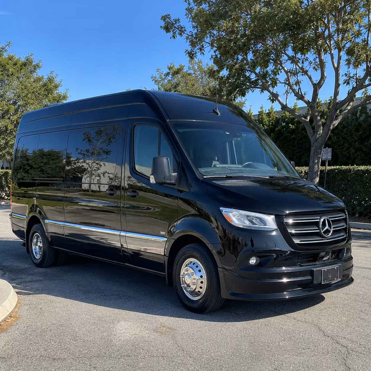 corporate event bus rentals in bellingham
