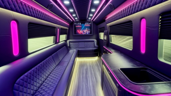 bellingham sprinter limo rental inside