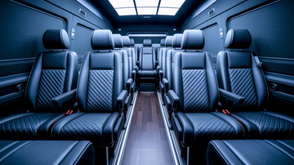 bellingham sprinter van with driver rental